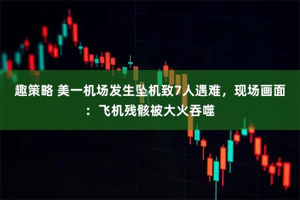 趣策略 美一机场发生坠机致7人遇难，现场画面：飞机残骸被大火吞噬