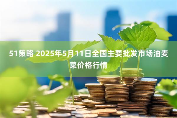51策略 2025年5月11日全国主要批发市场油麦菜价格行情