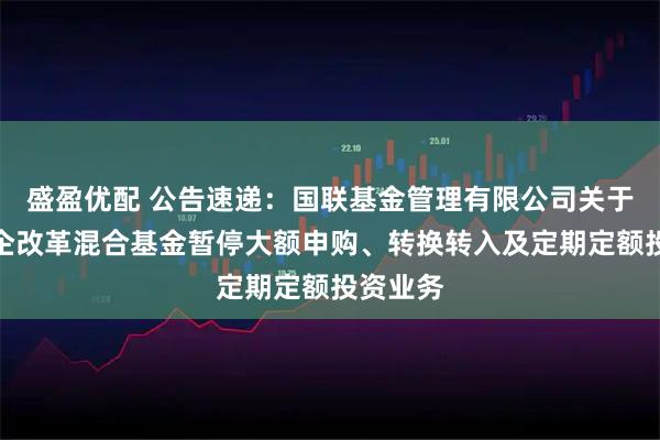 盛盈优配 公告速递：国联基金管理有限公司关于国联国企改革混合基金暂停大额申购、转换转入及定期定额投资业务