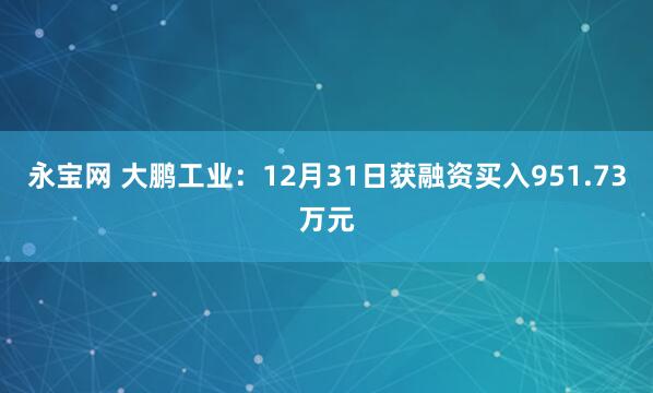 永宝网 大鹏工业：12月31日获融资买入951.73万元